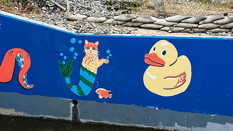 MoonDitch duck